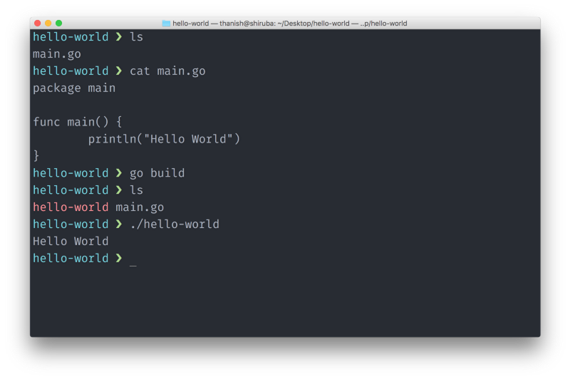 Compiling a go program for current os/arch and running the executable
