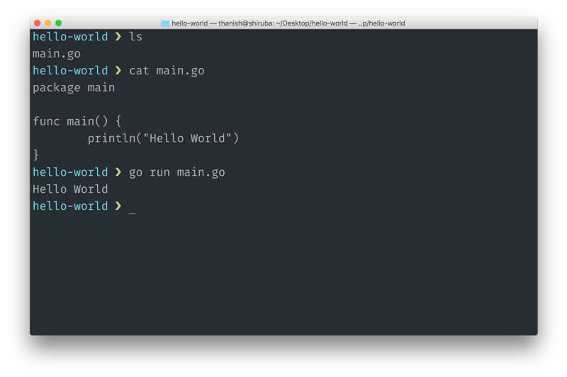 Running go files with the go tool without compiling